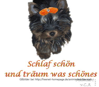 animierte Gstebuchbilder