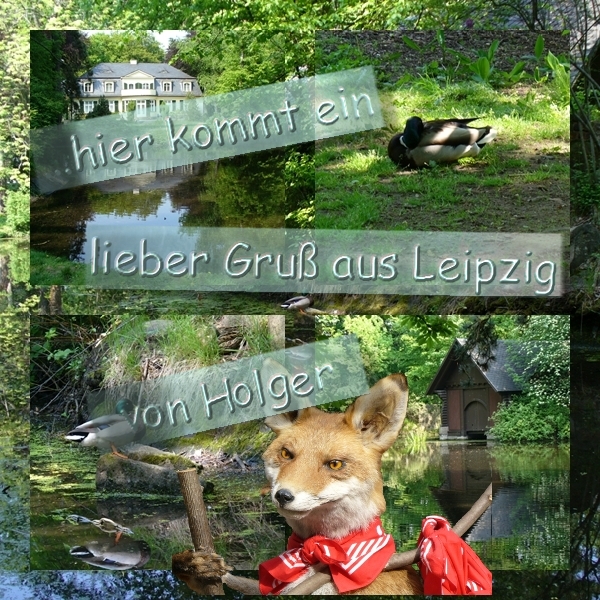 Kostenlos Bilder hochladen bei directupload.net